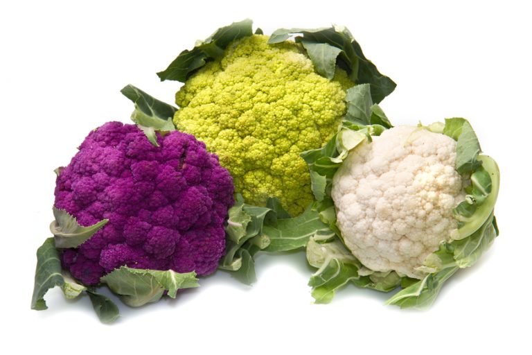 Cauliflower is the all-purpose vegetable